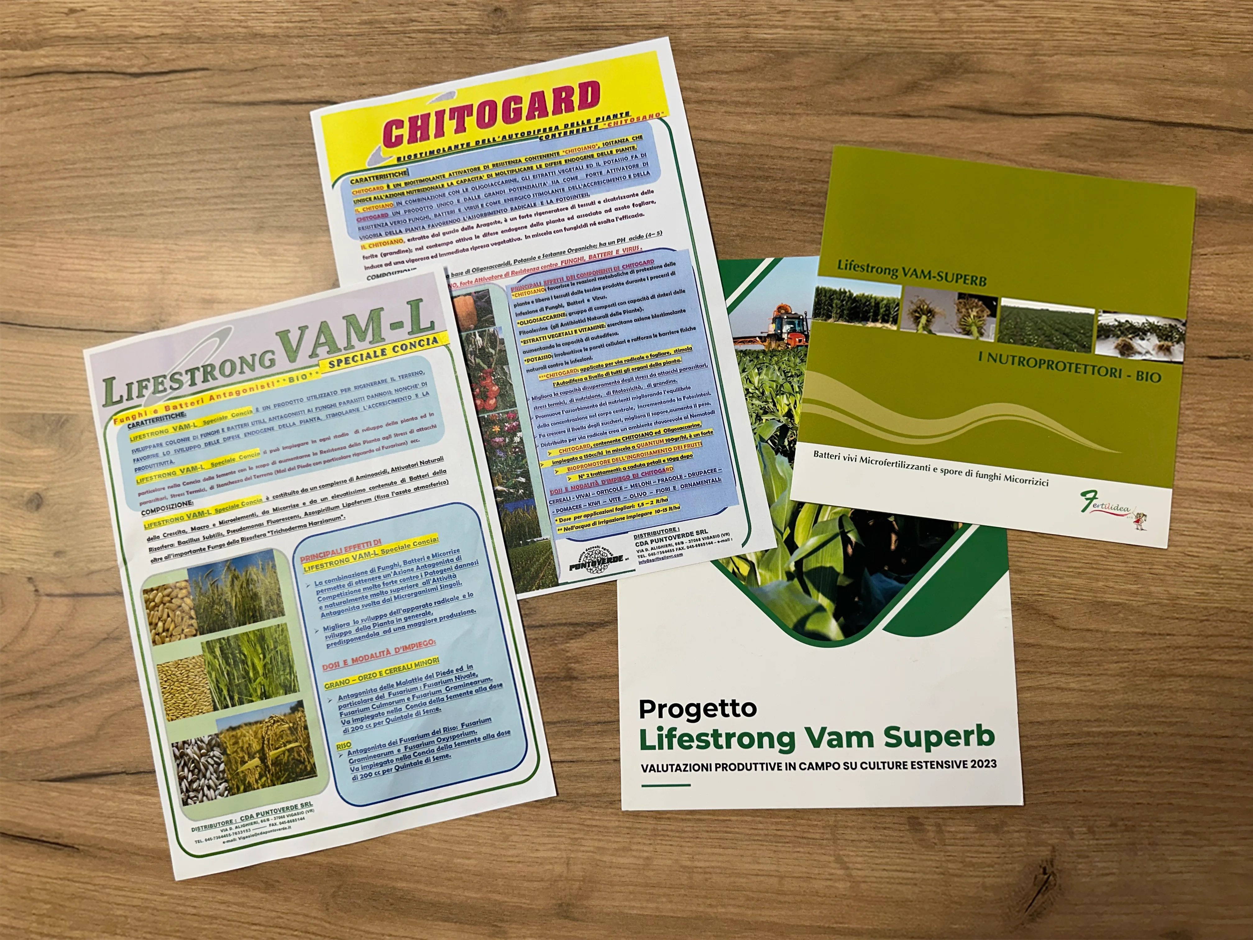 Schede tecniche storiche dei prodotti Fertilidea: Chitogard, Lifestrong VAM-L e Lifestrong VAM Superb